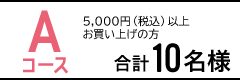 A 5,000~(ō)ȏ̂グŁ@v10l