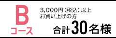 B 3,000~(ō)ȏ̂グŁ@v30l